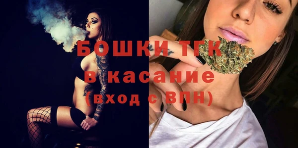 МДПВ Гусев