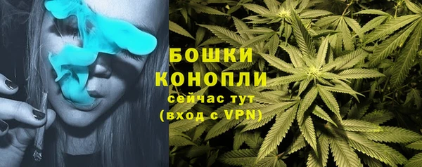 бутират Горнозаводск