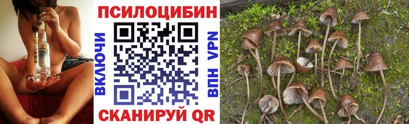 Купить  Магас  Галлюциногенные грибы GOLDEN TEACHER 
